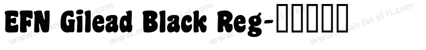 EFN Gilead Black Reg字体转换